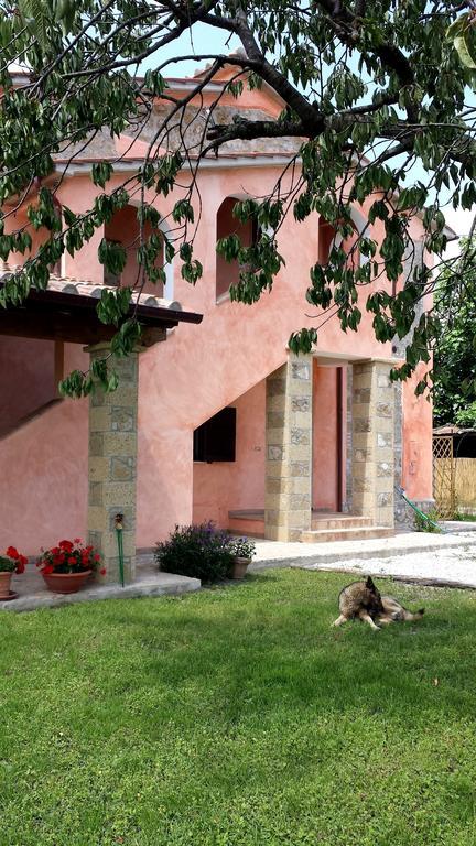 Agriturismo Airone Pitigliano Eksteriør billede